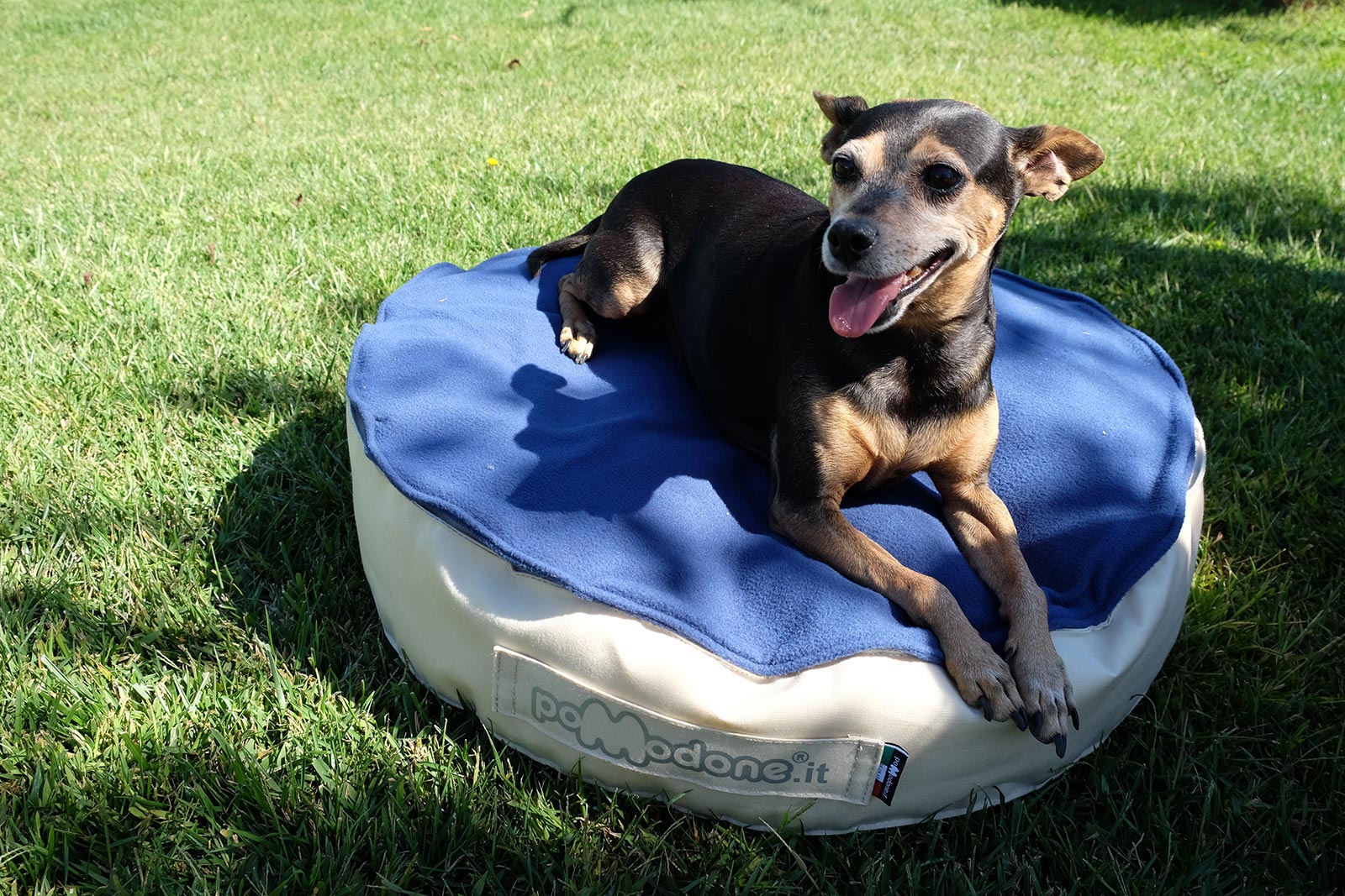 PET: I cuscini per animali domestici e pouf per cani